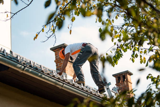 Best Best Roofing Contractors  in Cary, IL